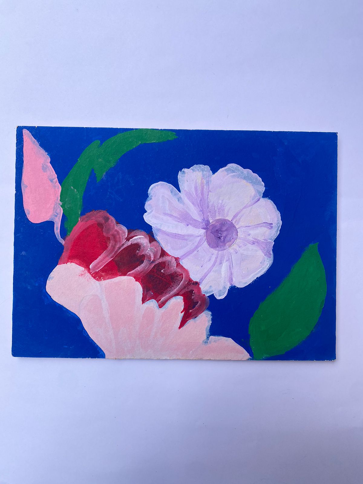 Imagen del emprendimiento Flor P&aacute;lida